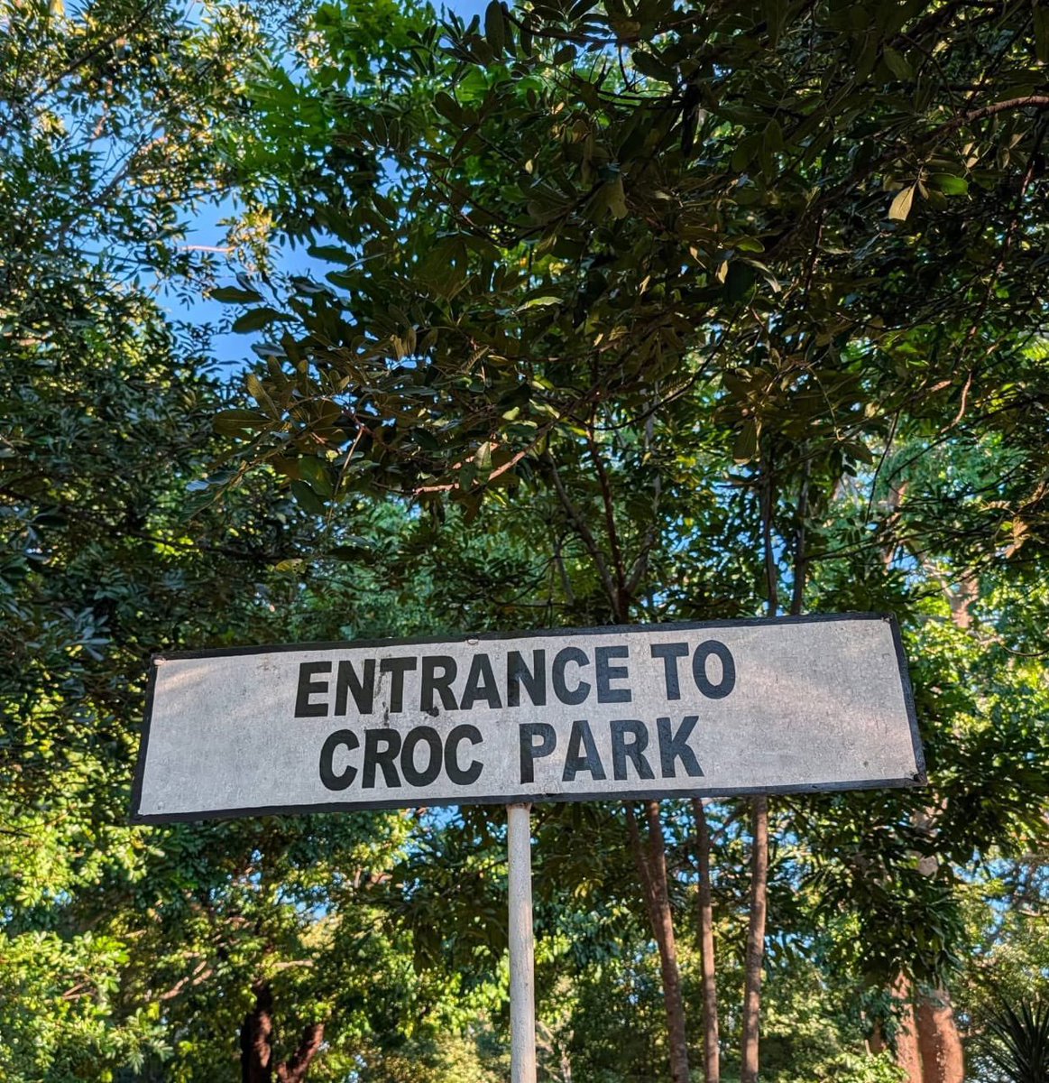 diamondtvzambia's tweet photo. JUST IN: CCPC has instituted an inquiry and is actively engaging to verify facts in a matter where artist Pompi and his family were denied access to watch crocodiles at Livingstone Crocodile park during Easter weekend.
#NewsOnTheGo https://t.co/q1XbZ72WMY