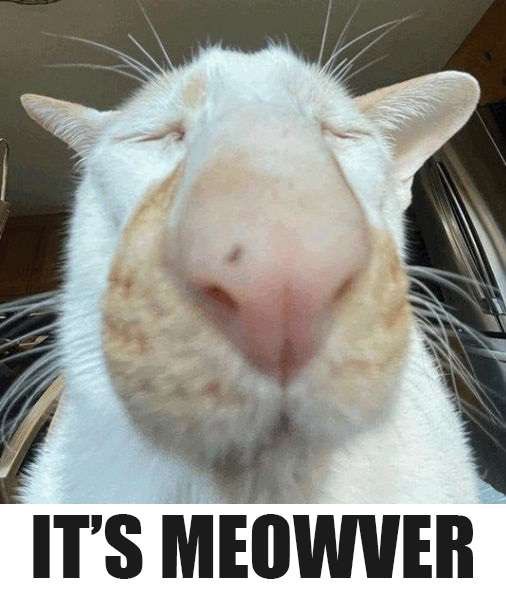 𝗖𝗵𝗮𝗺𝗽𝗶𝗼𝗻 𝘚𝘶𝘯 ~ ☆ tweet media