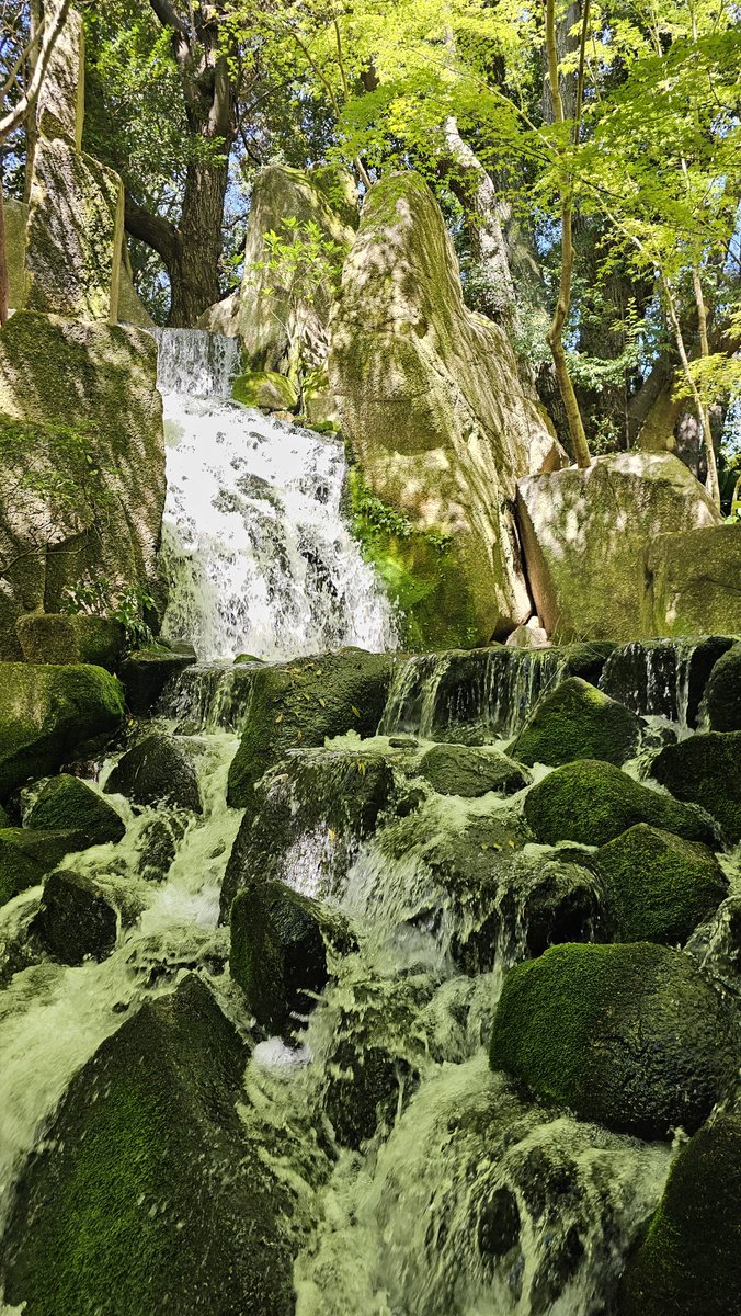 たまご tweet media