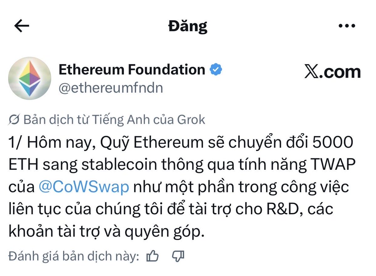 Solo Top tweet media