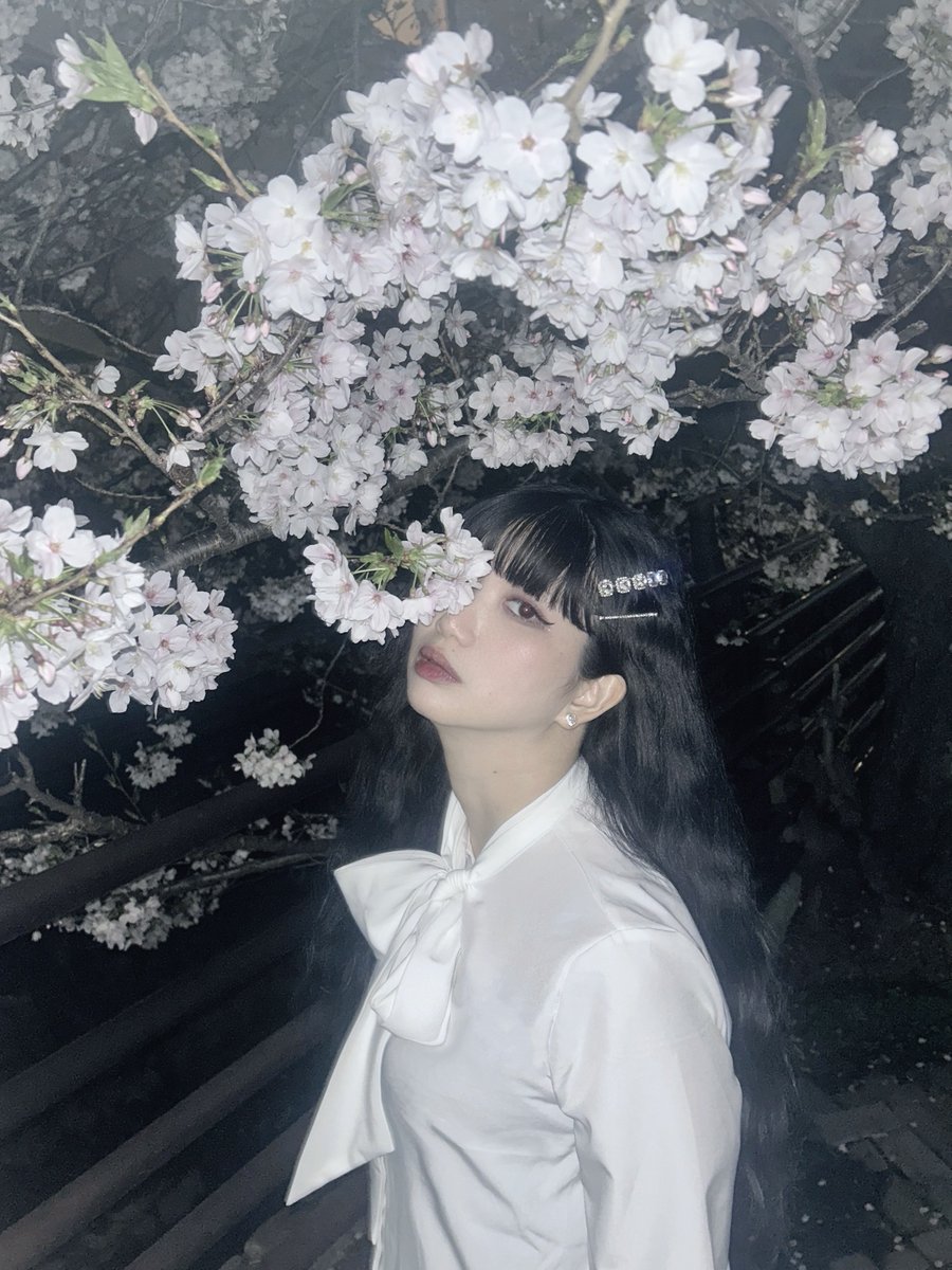 arismukaide's tweet photo. 春は"のろい"か"まじない"か
都合良く読み変えちゃおうよ https://t.co/oJklPLKcm1