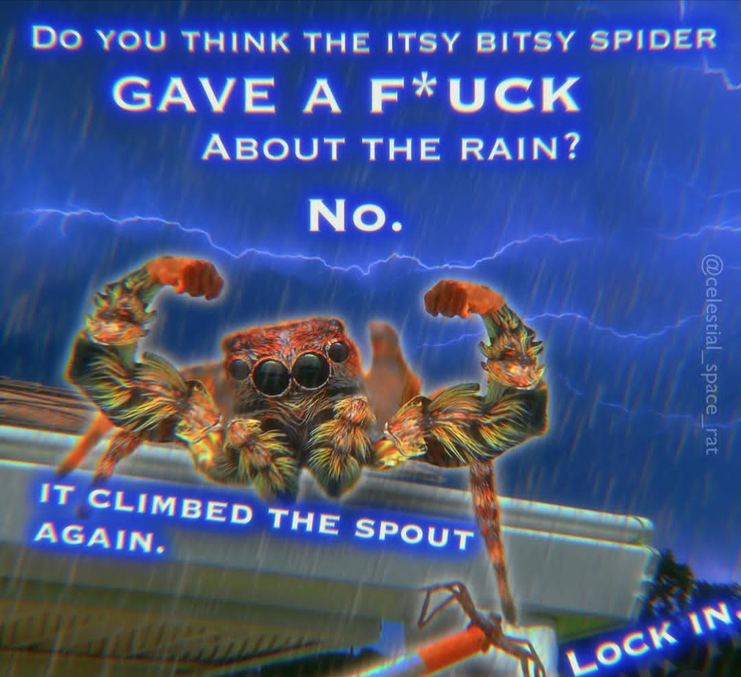 adam 🌵 tweet media