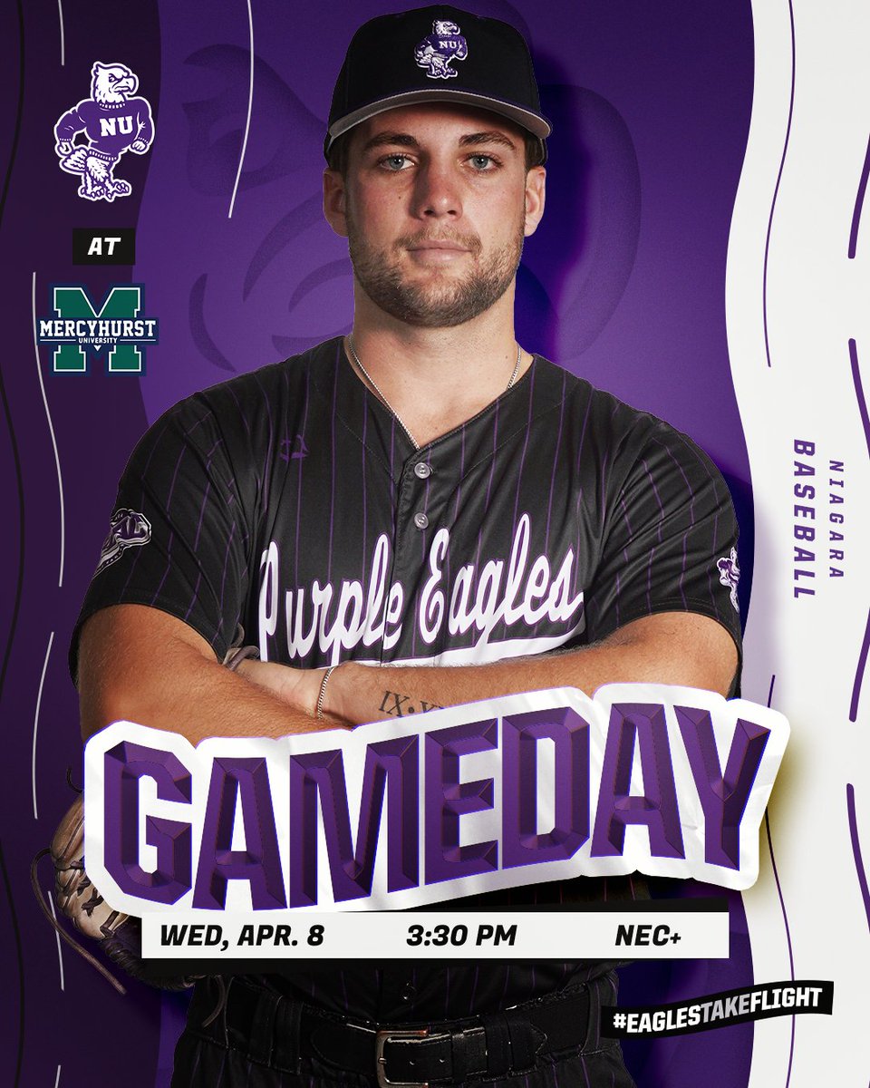 Niagara Baseball tweet media