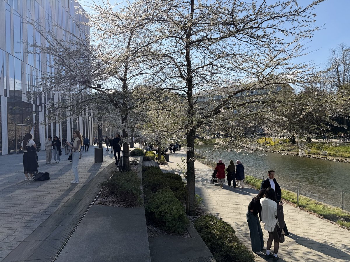 Renate Kleine tweet media