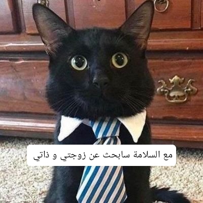 giga🇵🇸🇯🇴 tweet media