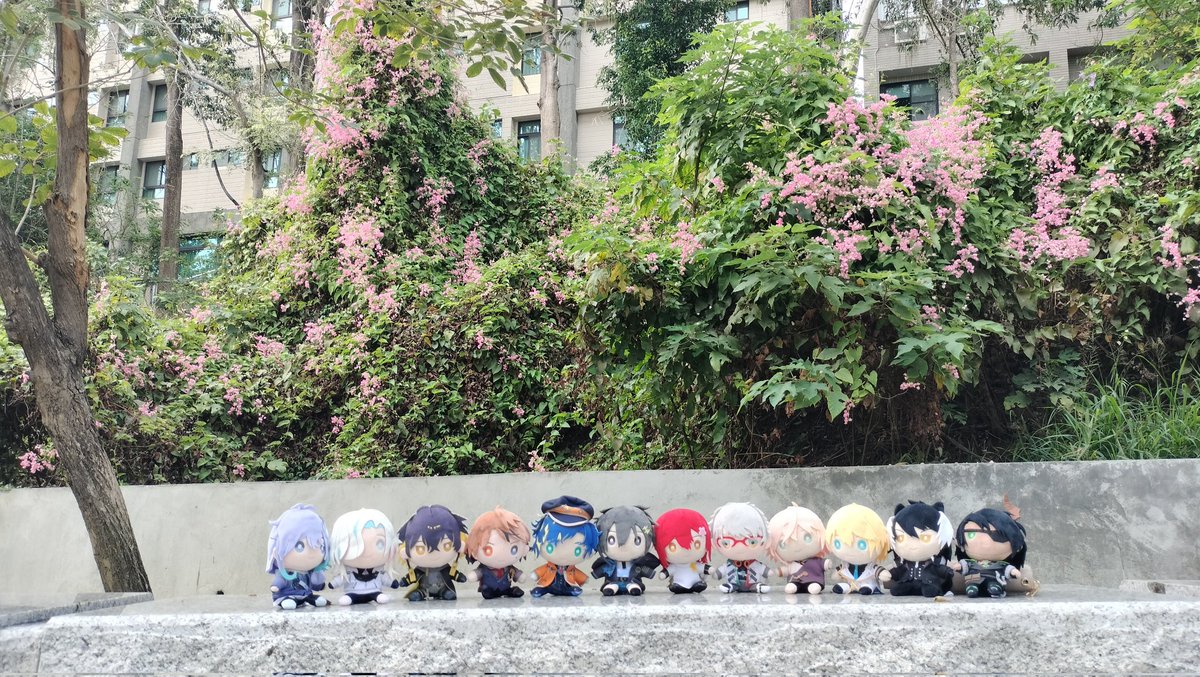 ちえ_星月🌺 tweet media