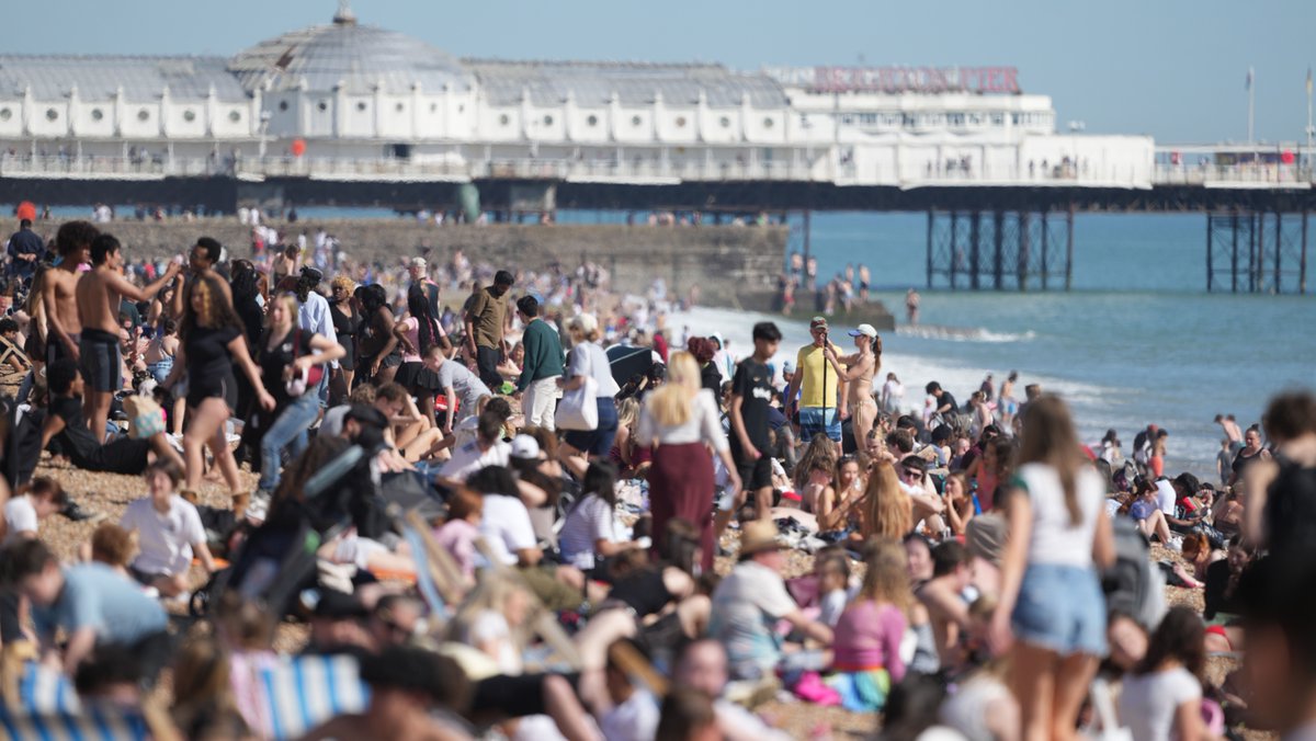 eddie mitchell tweet media