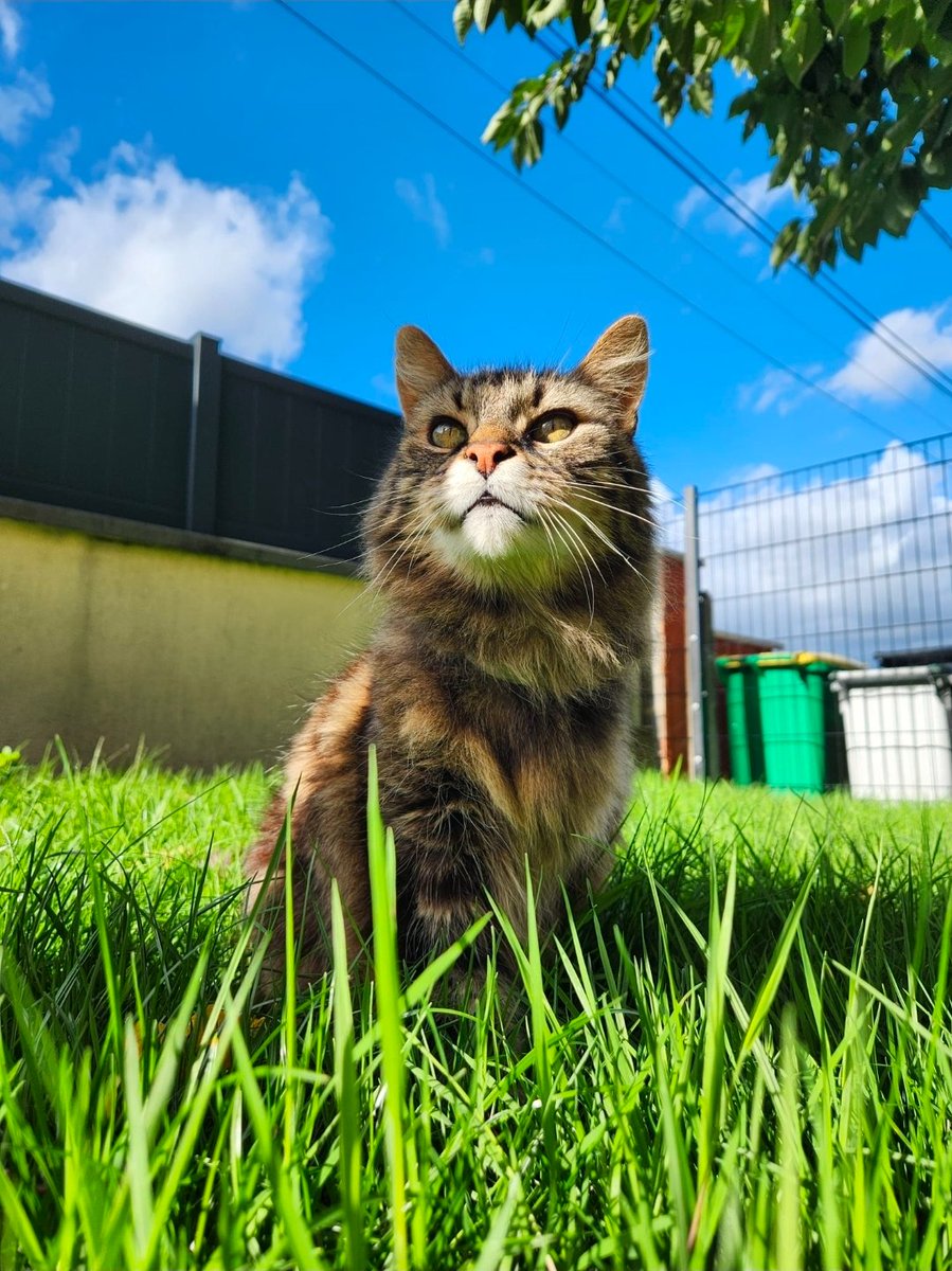 Blondi𝕏 Minie Banana Girl 🍌 tweet media