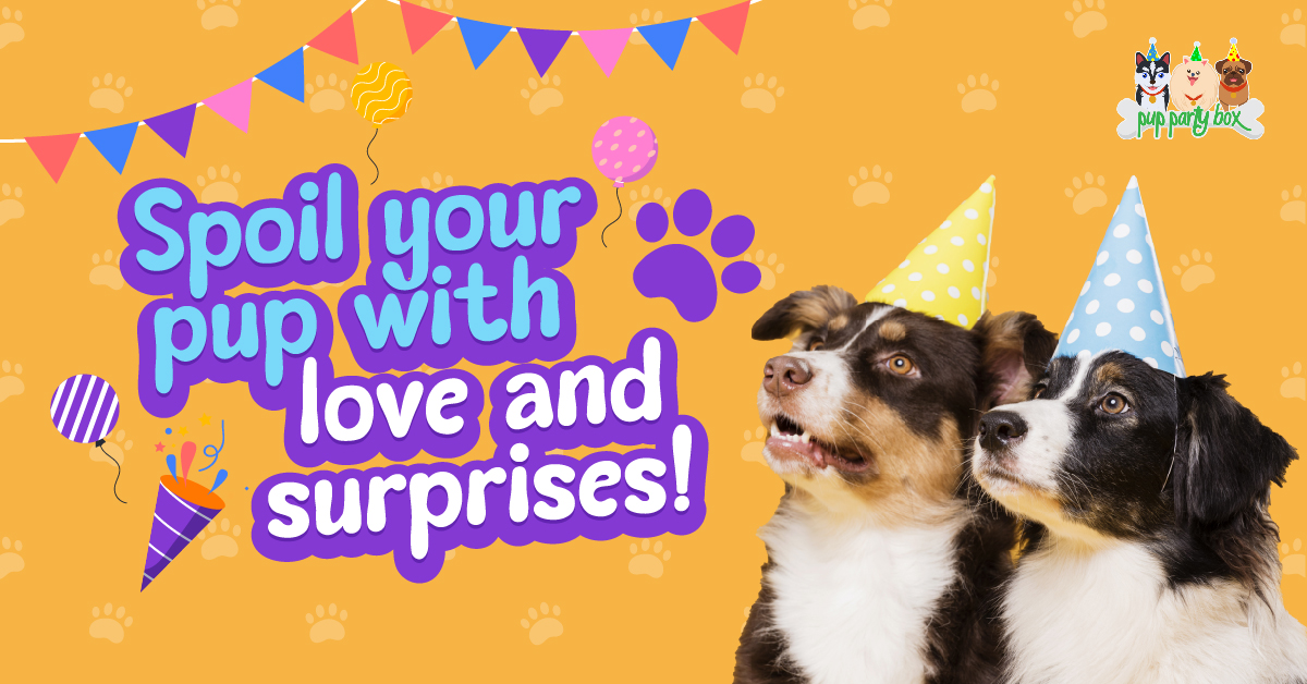 PupPartyBox's tweet image. 🐶🎁 Spoil your pup with love and surprises! 🐾💝 Pup Party Box offers themed boxes curated specially for your furry friend's happiness. Subscribe now and watch their tail wag with excitement! bit.ly/3uUFXuX  #SpoiledPup #PamperedPet #TreatYourDog