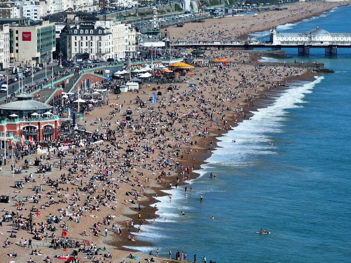 eddie mitchell tweet media