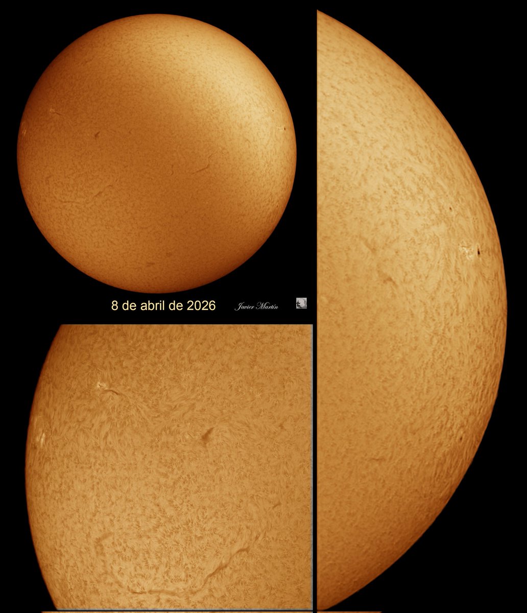 JAVIER MARTIN FERRERO tweet media