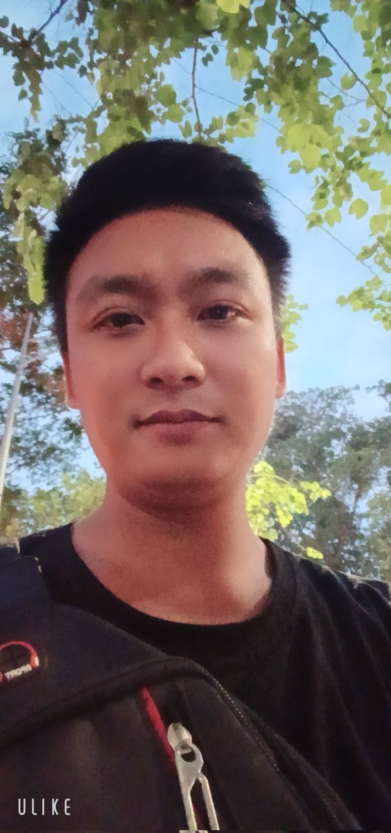 Quan Tranvan tweet media