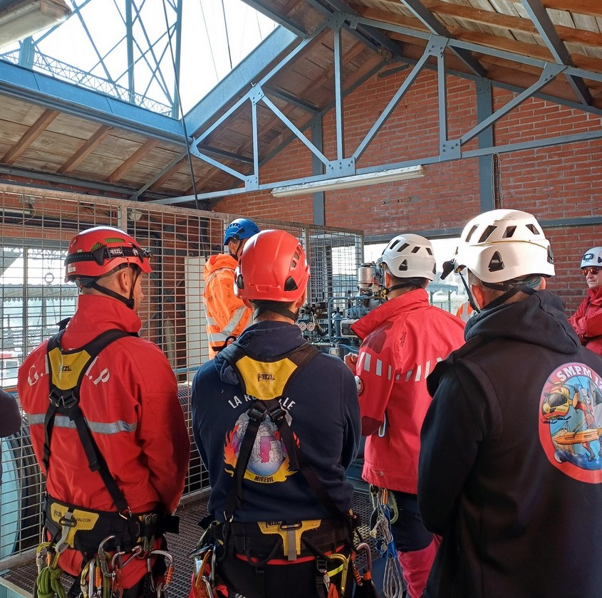 RocaFortisRochefort tweet media