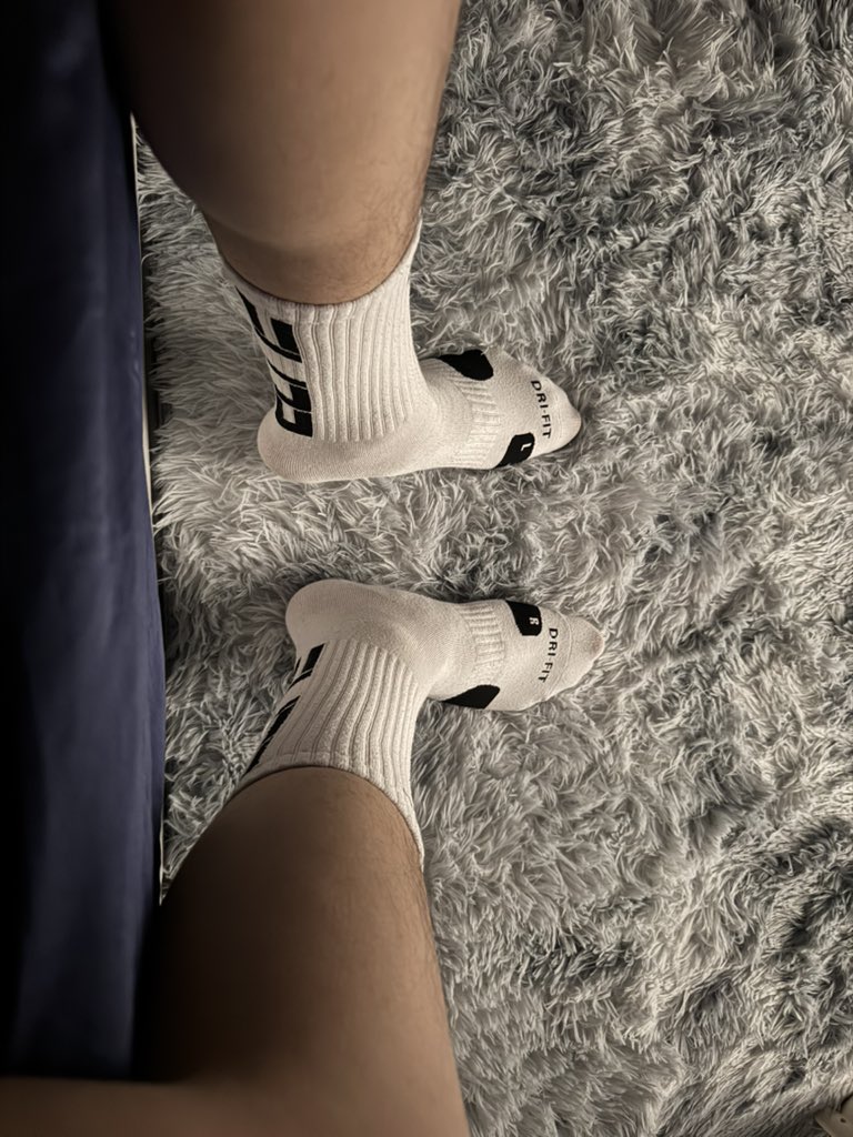 卡皮巴拉 tweet media