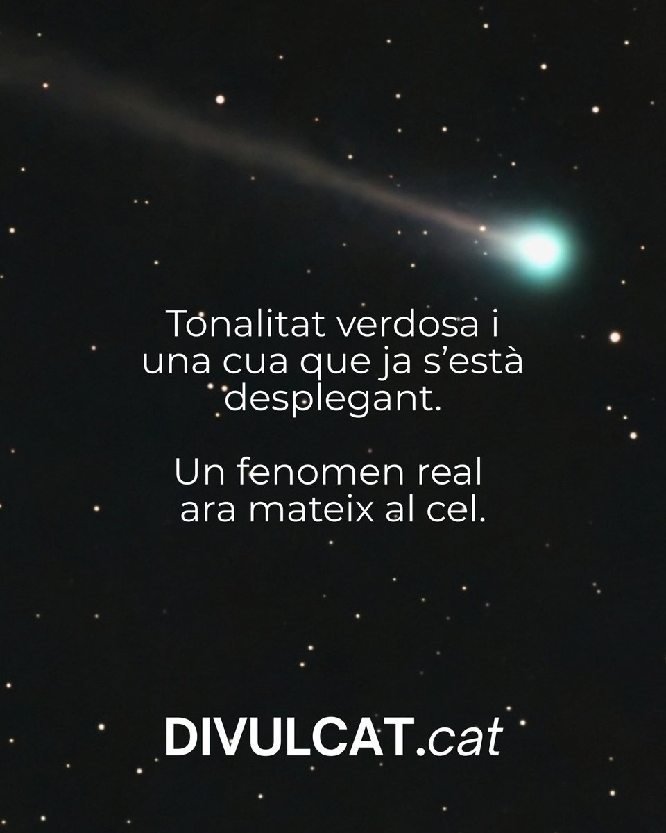 Divulcat tweet media