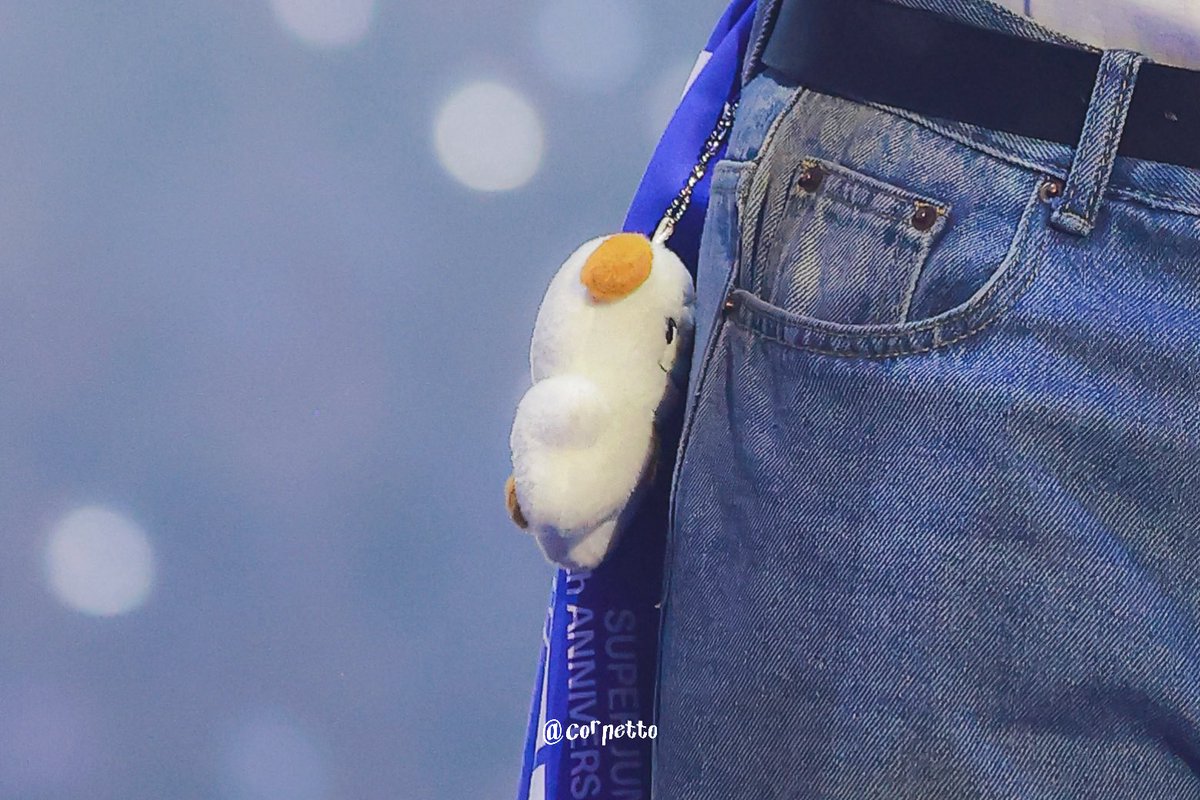 cornetto_7's tweet photo. 260405 SJ-CORE in SEOUL

같이 무대 올라가자~!

#규현 #KYUHYUN 
#조규매 #CHOKYUMAE  
#슈퍼주니어 #SUPERJUNIOR 
#SUPERSHOW #SUPERSHOW10_SJCORE https://t.co/ZyT5iYRNjn