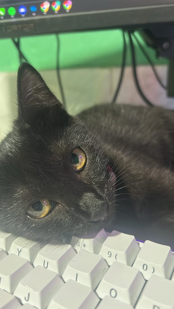 athos VAI VER O BTS tweet media