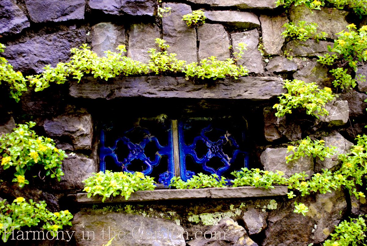 Fareednemer(فريد النمر) tweet media