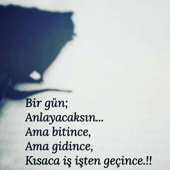 nisa🧣 tweet media