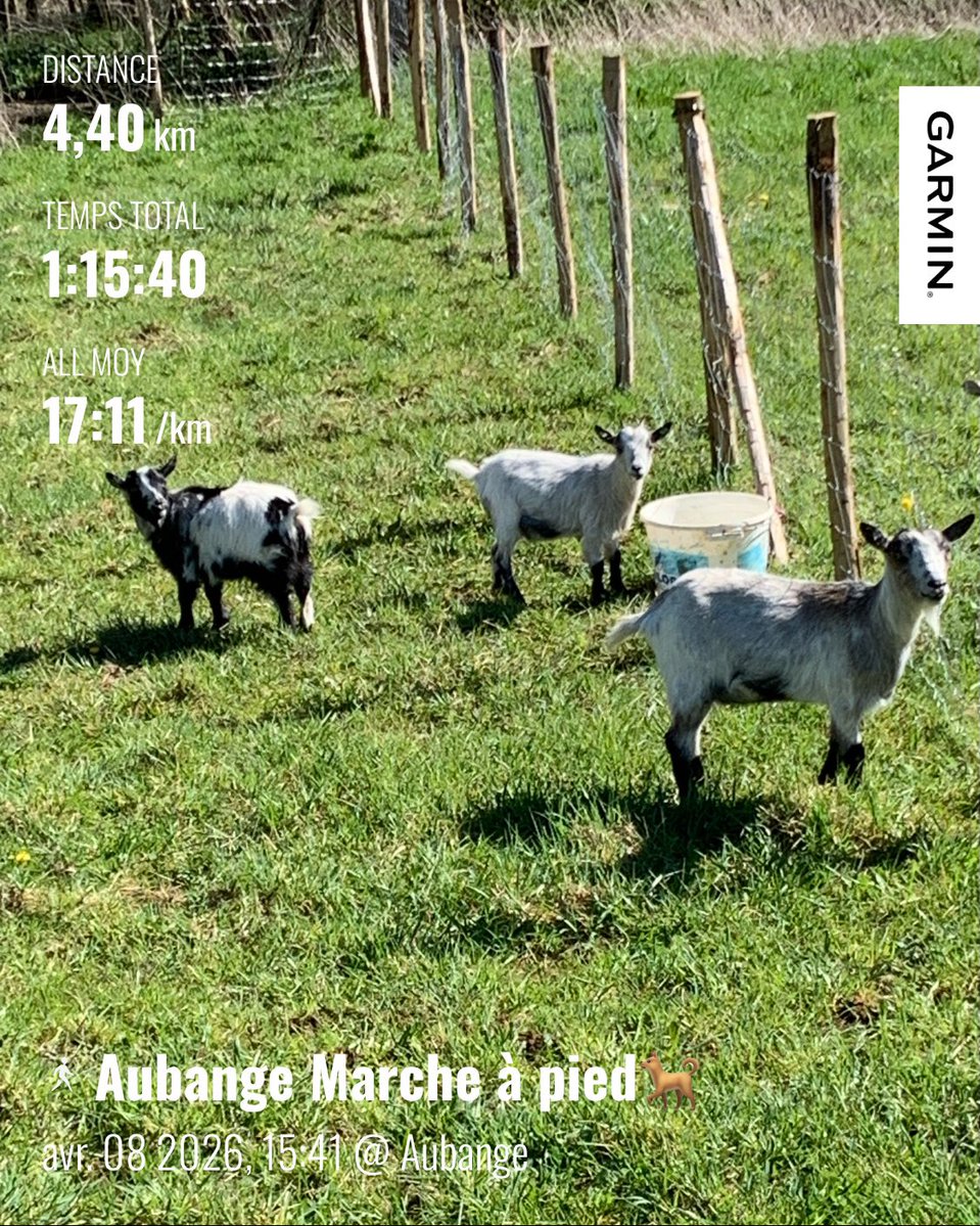 Didier FLECHE 🇧🇪🏊‍♂️🚴‍♂️🏃🏻‍♂️ (@flechedidier) on Twitter photo 