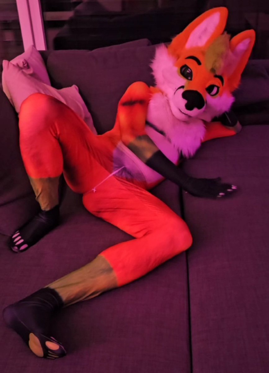 Dekyr AD tweet media