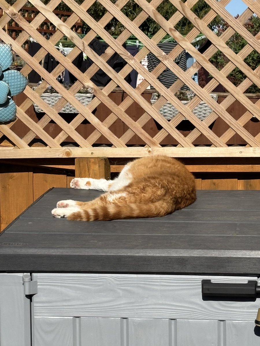 James, Willoughby, Oliver tweet media