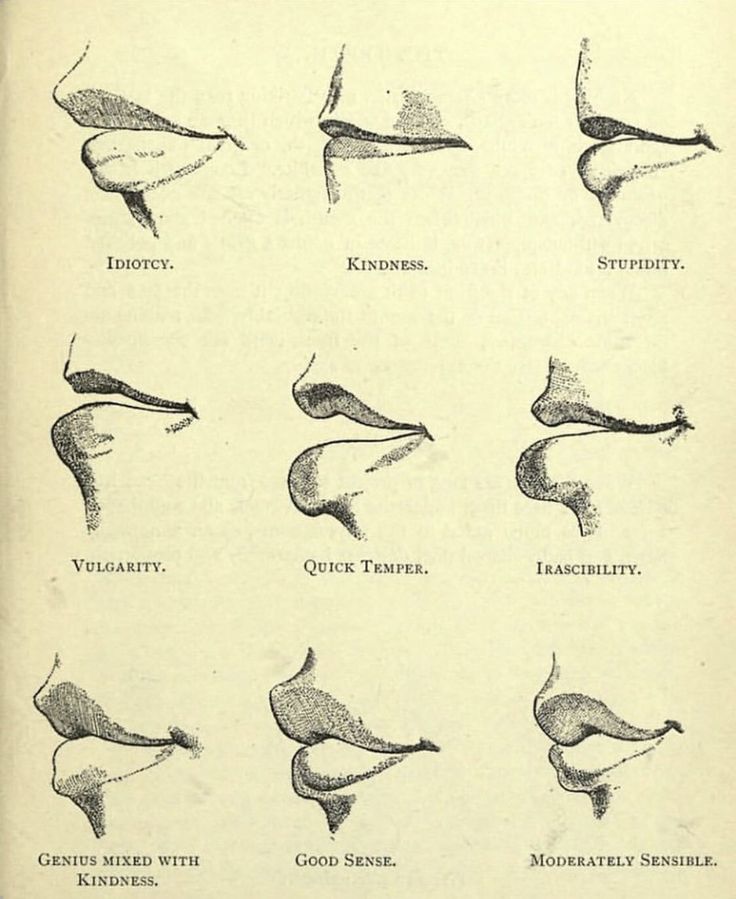 Knowledge Of Old📌 tweet media