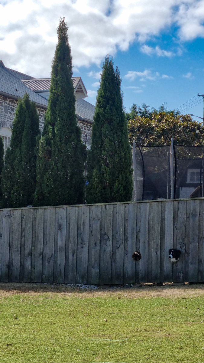 바삭🦋 (상태: 대학생) tweet media