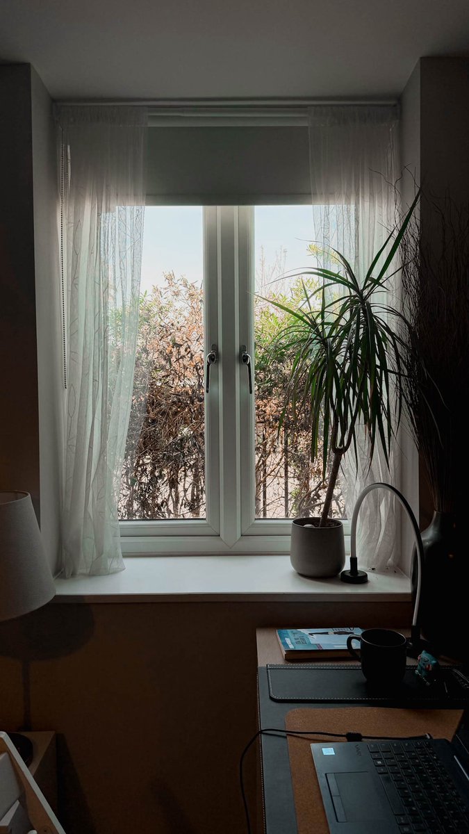 afro turco-libanesa tweet media