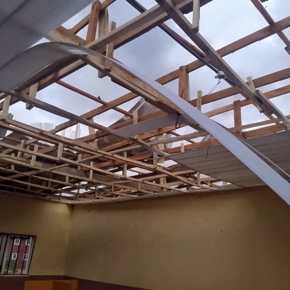 Nedu Ani tweet media