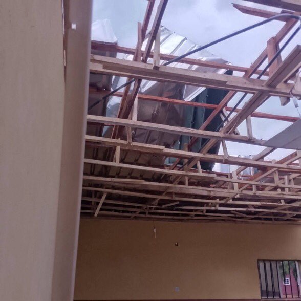 Nedu Ani tweet media