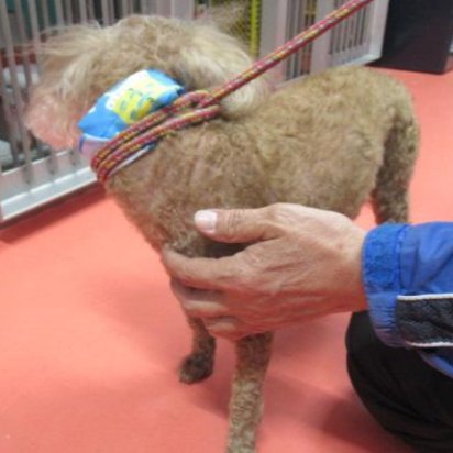 くるみmama tweet media