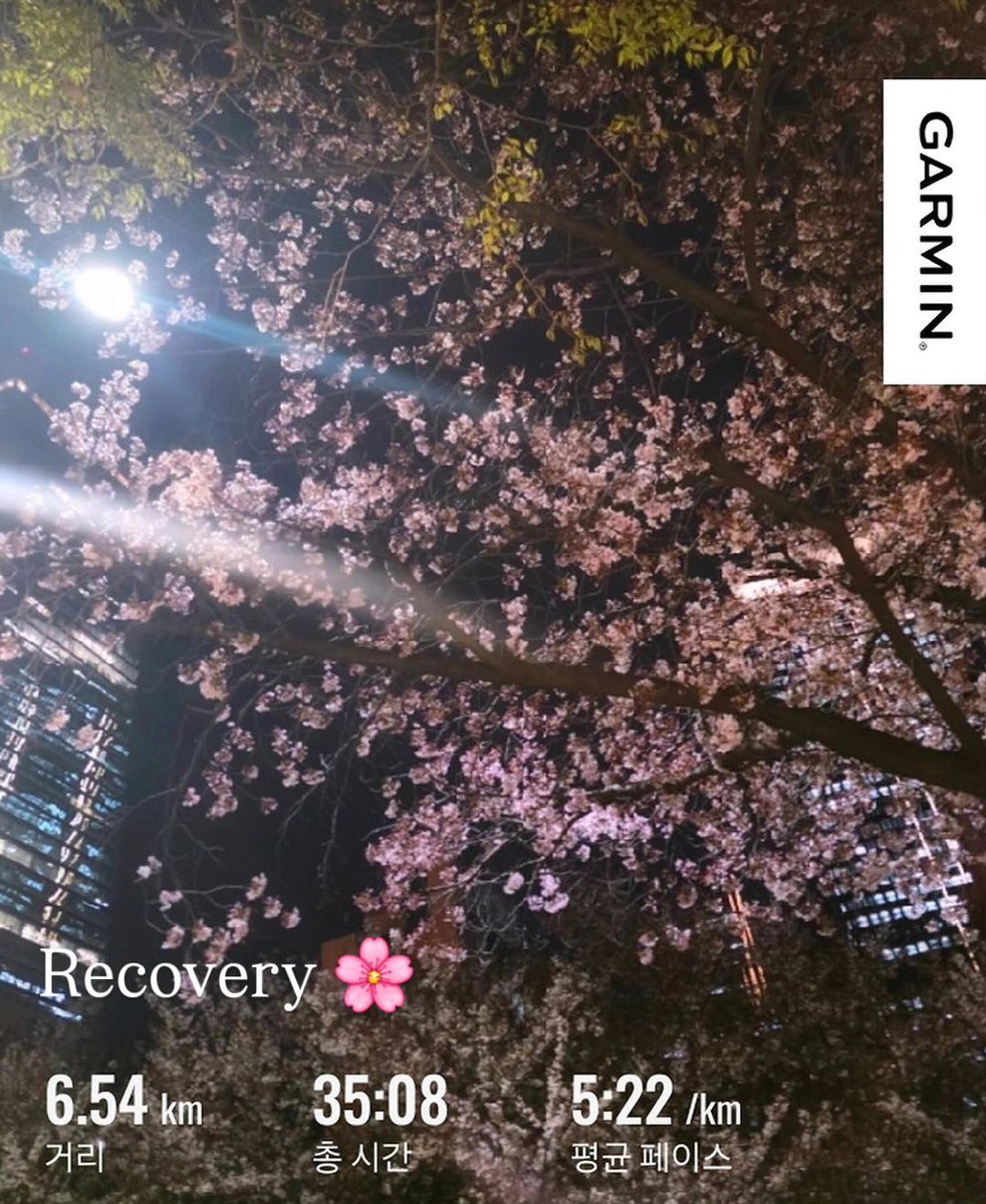 깅 tweet media