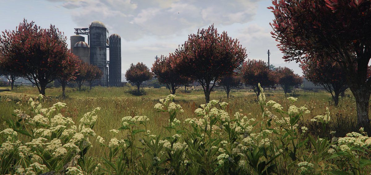 MindCity_RP's tweet photo. 🌸Le printemps est arrivé sur MindCity ! 
 Alors toi aussi, viens profiter des magnifiques paysages printaniers de MC🌸🌿
On t’attend en jeu 👀 https://t.co/y2PRF22gwA