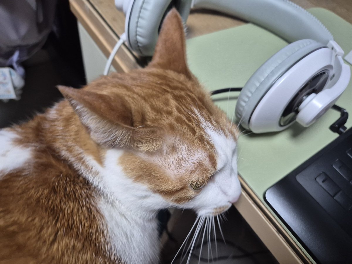 전남친 tweet media