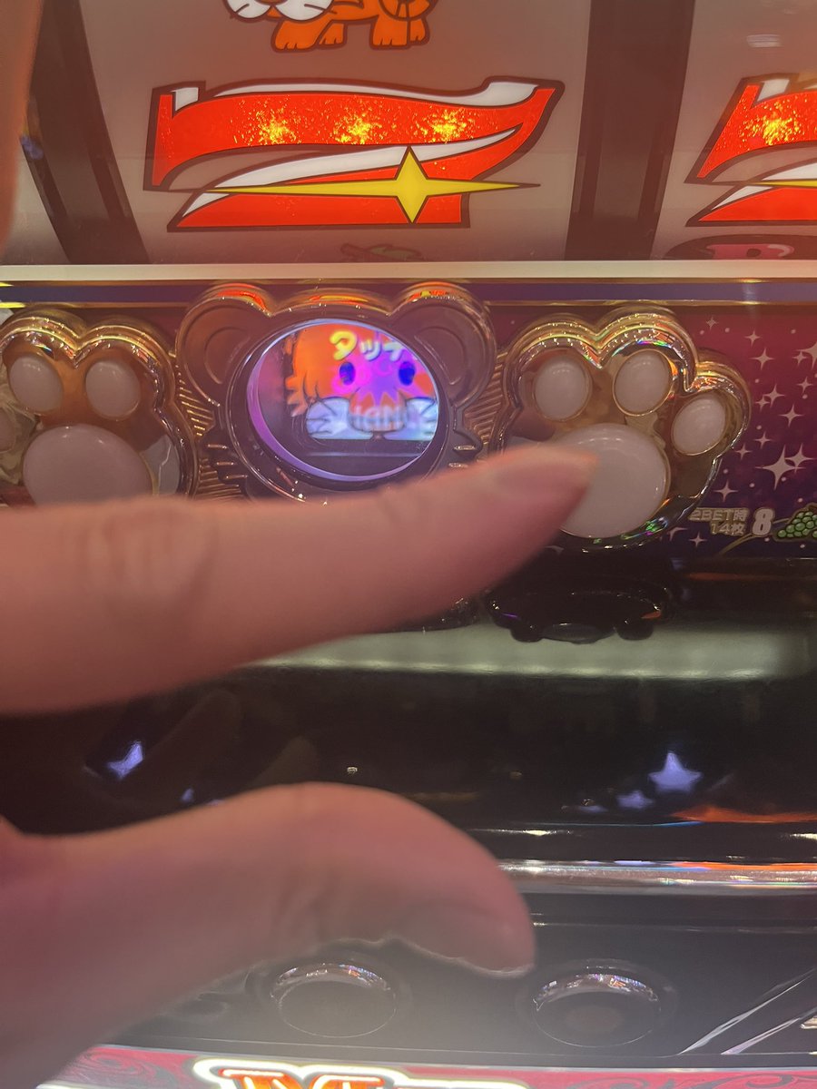 パワメガネ(リリベル) tweet media