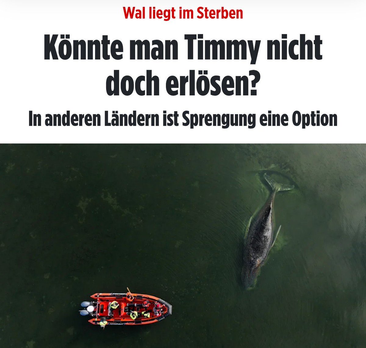 Robert Willacker tweet media