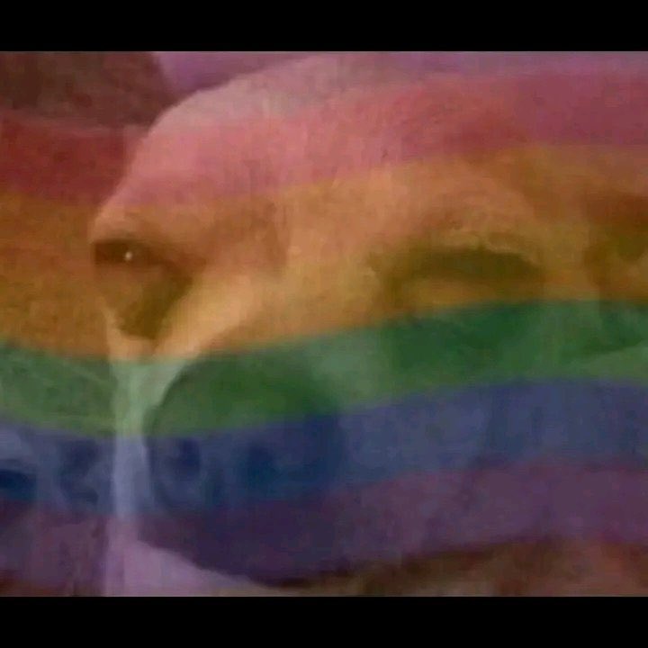 Trace lock 🕹️ tweet media