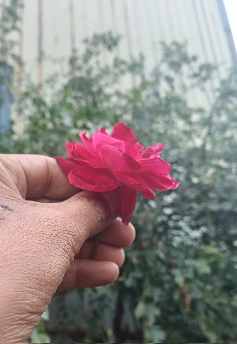 مشتاق تبسّم بھٹی tweet media