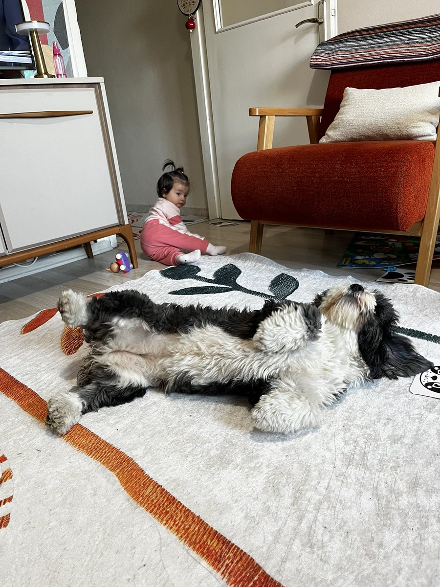 Kızçe Anasının Kuzusu tweet media