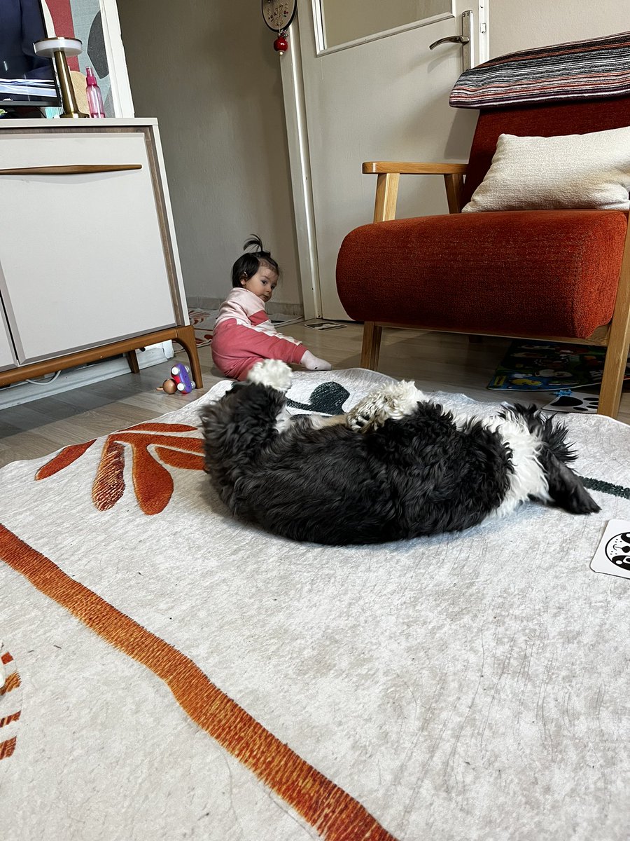 Kızçe Anasının Kuzusu tweet media