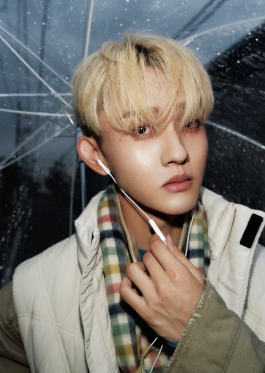 たくわんわん tweet media