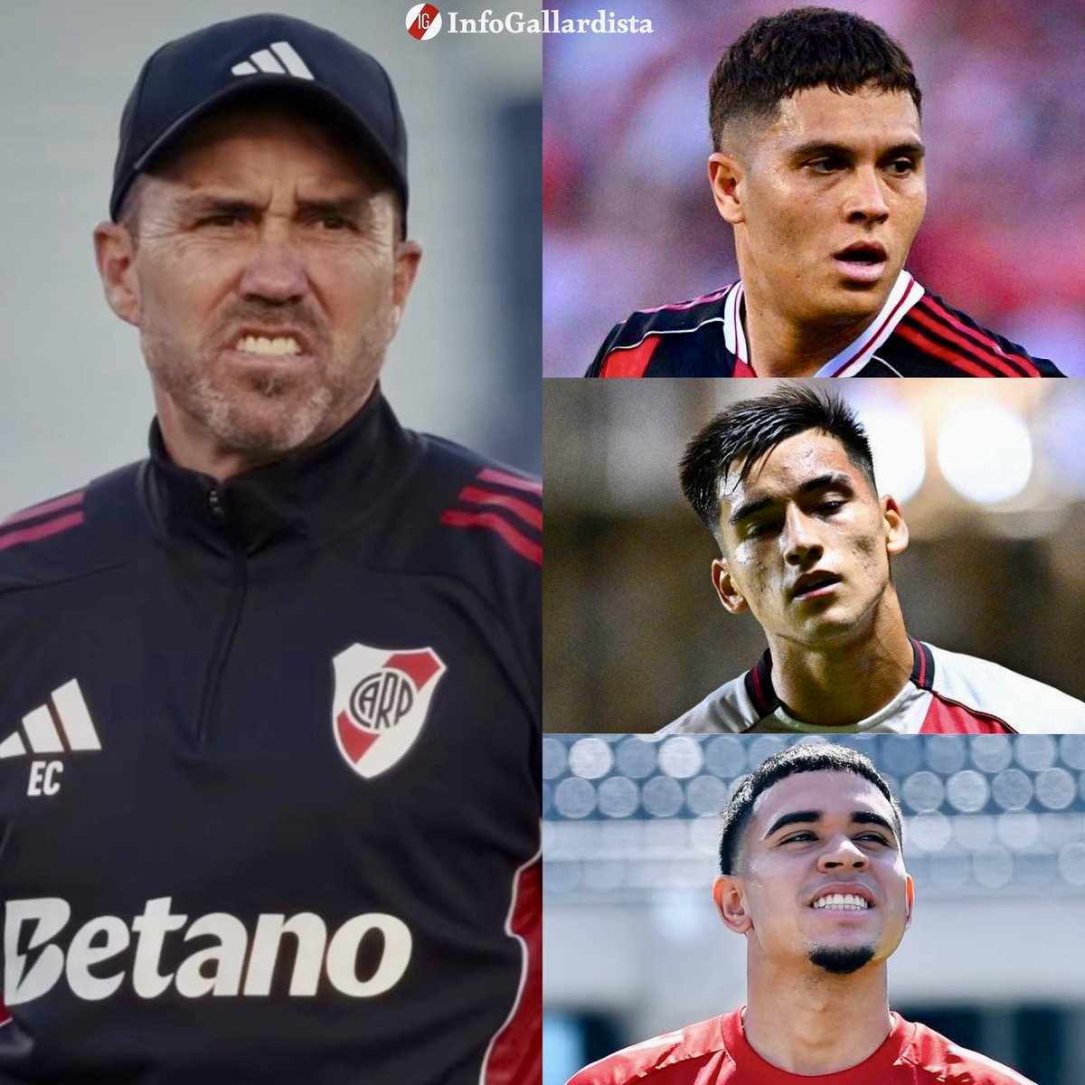 Info Gallardista tweet media