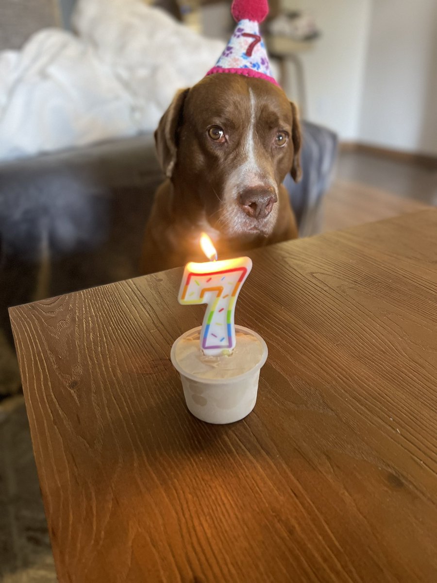 Val 🏴☠️ tweet media