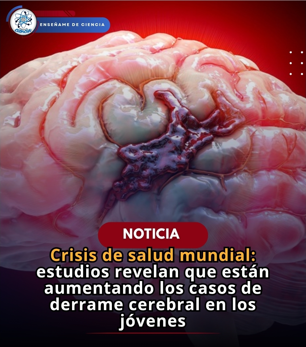 Enséñame de Ciencia tweet media