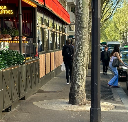 On va encore nous raconter que c'est de la "résine" et que ça ne nuit pas à l'arbre 🤦‍♂️😡
La vérité est que ce pied d'arbre été cimenté pour permettre le passage des piétons en raison de l'emprise démesurée de la terrasse du restaurant.
Mais pourquoi ne pas avoir mis une grille ??