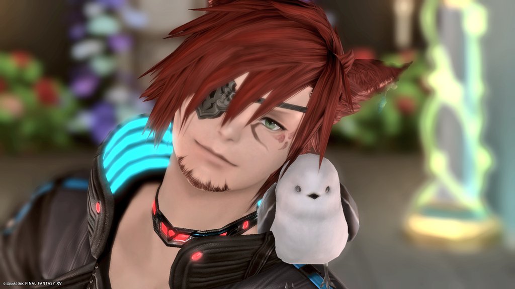 こえだ🜸クロエ tweet media