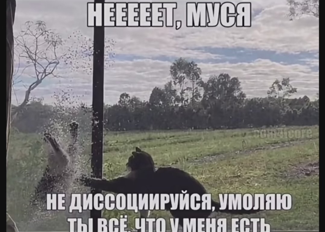 Mcat tweet media
