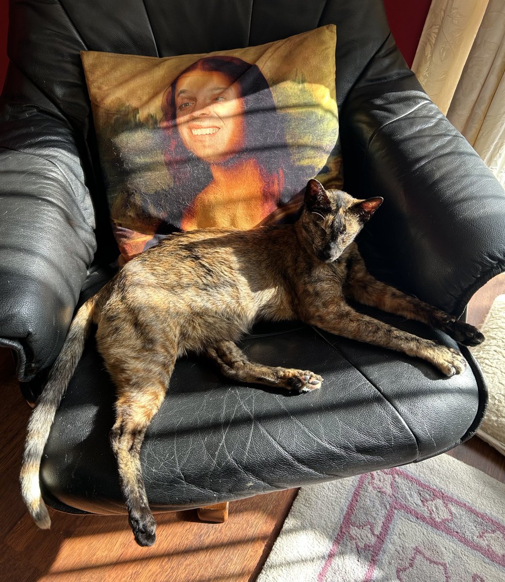 D.V. Catt tweet media