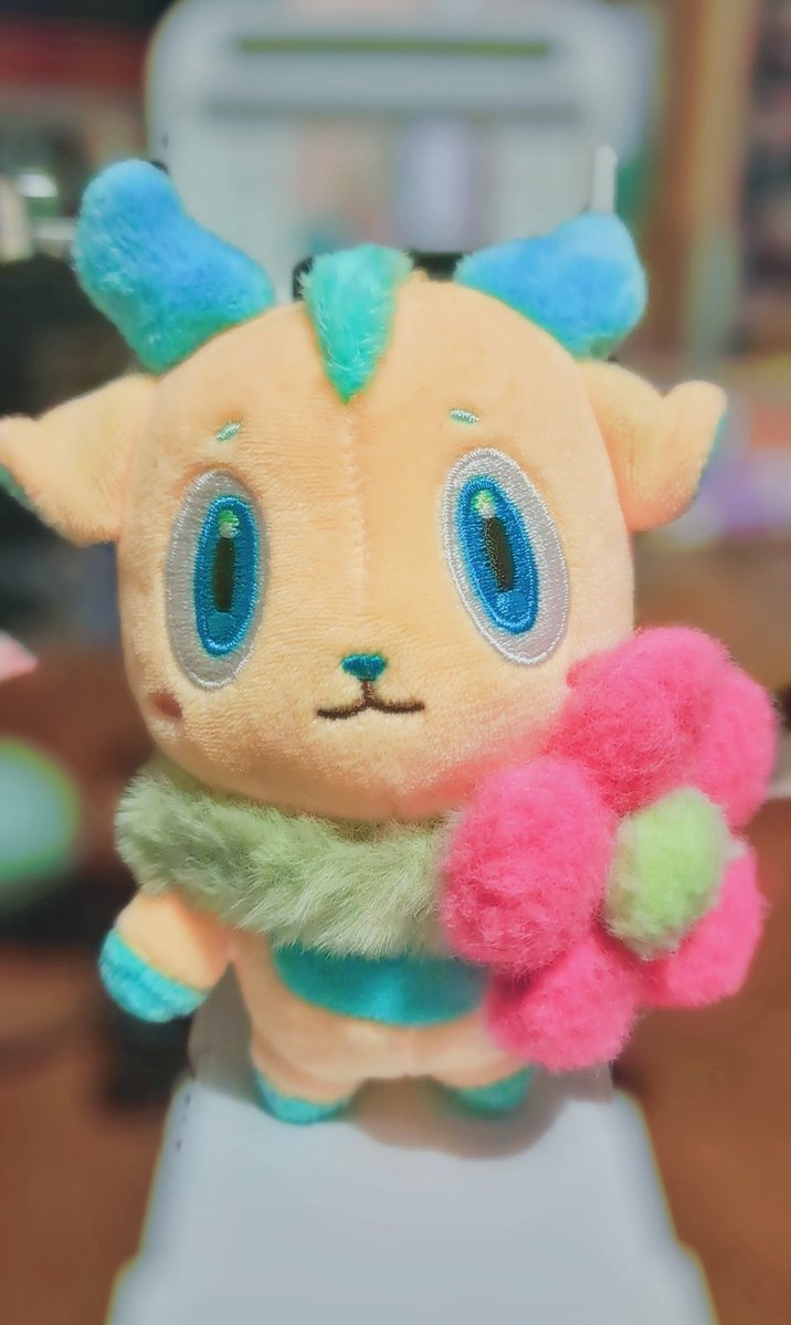 こーか tweet media